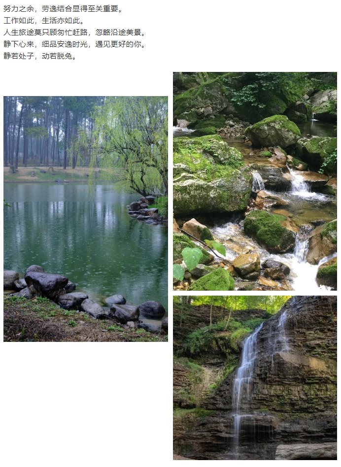 公司團(tuán)建