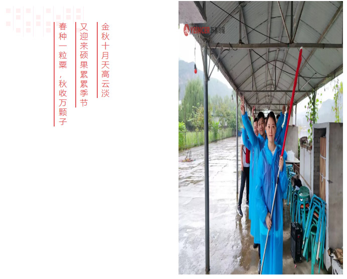 公司團(tuán)建